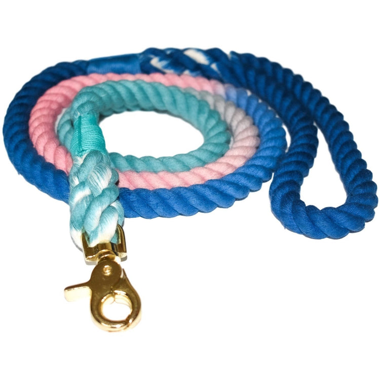 Pet Accessories